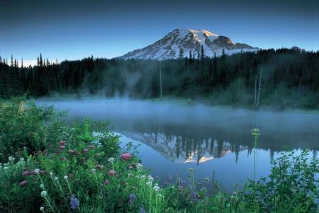 la nature