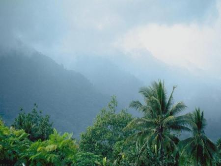 la nature