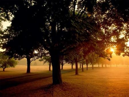 la nature