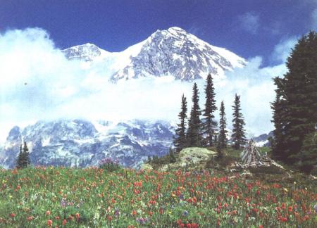 la nature