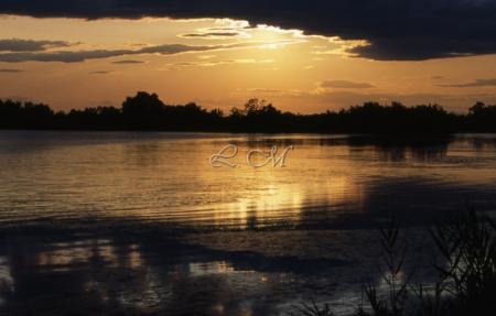 la nature
